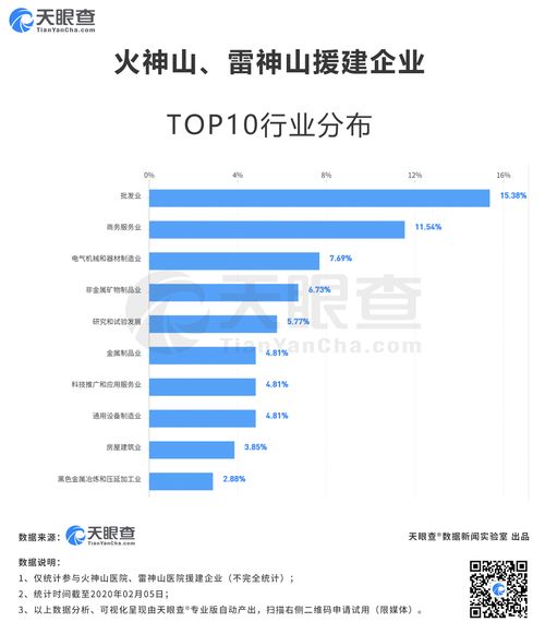 致敬中国速度 火神山 雷神山光速建成背后 90后 援建企业最多